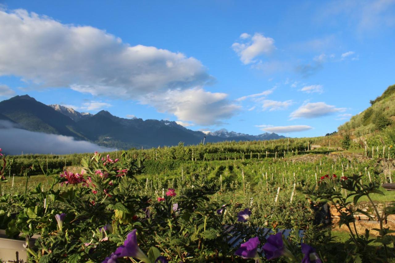La Vita In Campagna Villa di Tirano Exterior foto