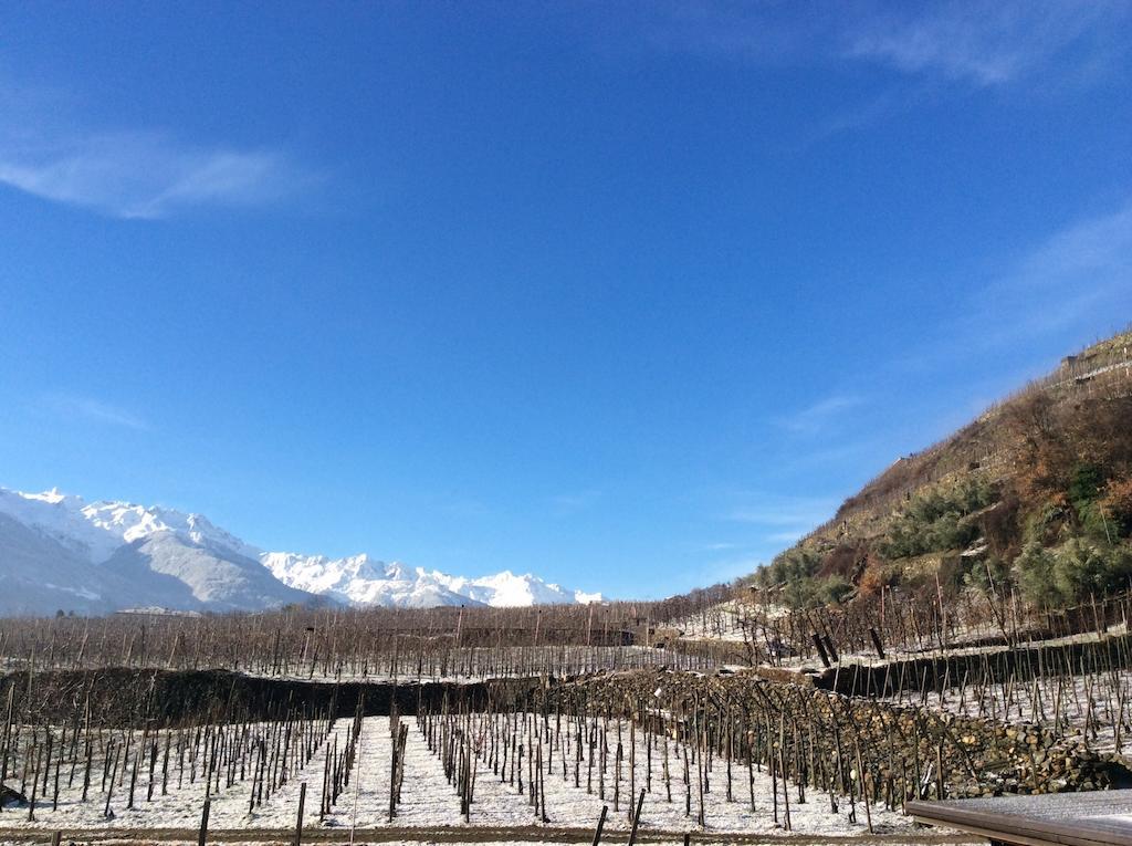 La Vita In Campagna Villa di Tirano Exterior foto